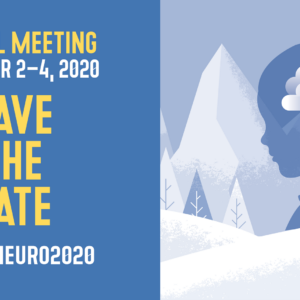 American Association of Neurological Surgeons Virtual Meeting 2020