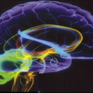 Cedars Sinai 13th Annual Symposium on Neurovascular Disease 2022