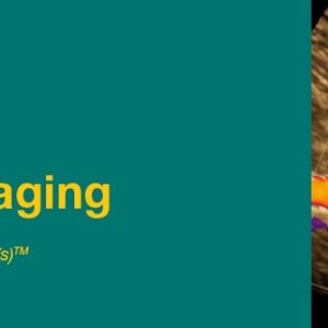 DocmedED 2019 Noninvasive Vascular Imaging