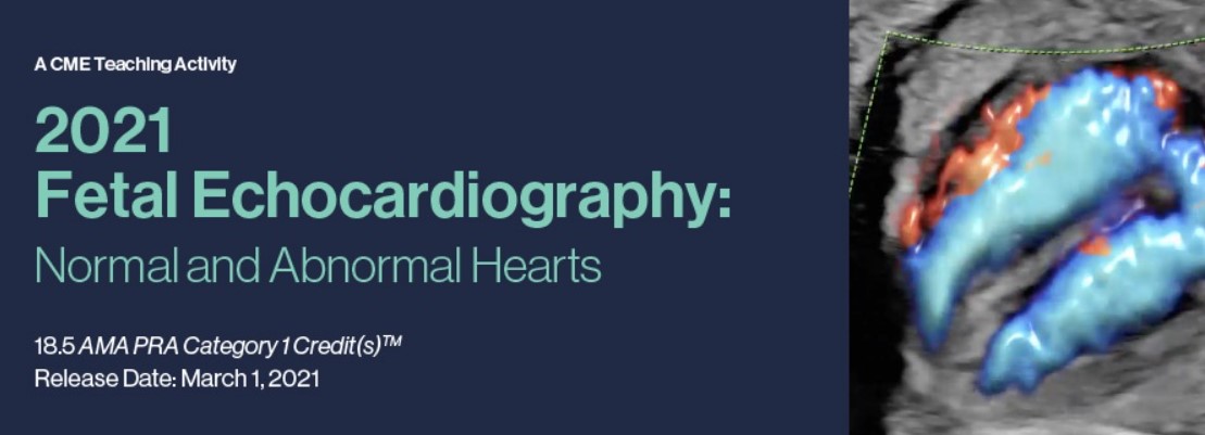 DocmedED 2021 Fetal Echocardiography Normal and Abnormal Hearts