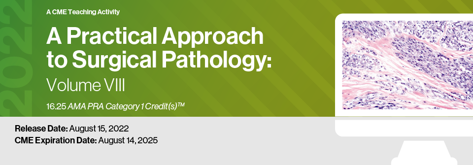 DocmedED 2022 A Practical Approach to Surgical Pathology Volume VIII