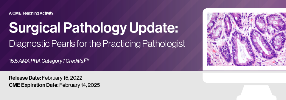 DocmedED 2022 Surgical Pathology Update Diagnostic Pearls for the Practicing Pathologist - Vol. VI