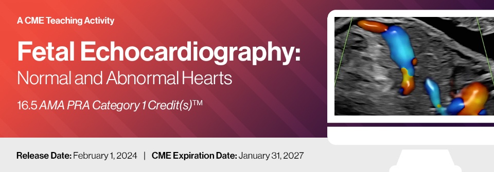 DocmedED 2024 Fetal Echocardiography Normal and Abnormal Hearts