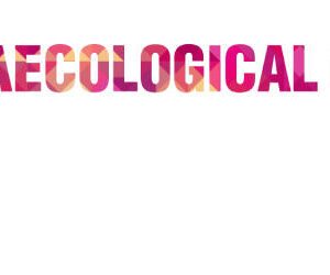 European Society for Medical Oncology Gynaecological Cancers Congress 2023