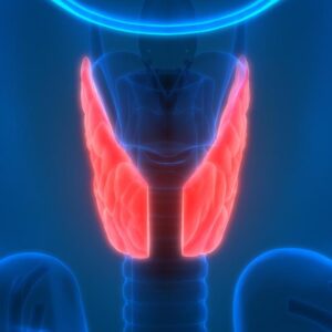 Harvard Clinical Endocrinology 2022