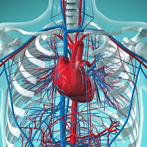 Hospital for Special Surgery Contemporary Topics in Vasculitis 2024