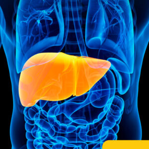 Michigan Medicine 18th Annual Advanced Liver Disease and Liver Transplantation Update 2024