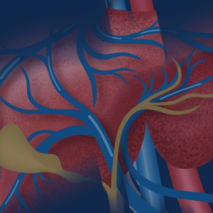 Michigan Medicine 27th Annual Liver Disease Wrap-Up 2024