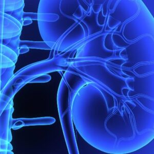Nationwide Children Kidney and Urinary Tract Symposium State of the Art in Pediatric UTI 2025
