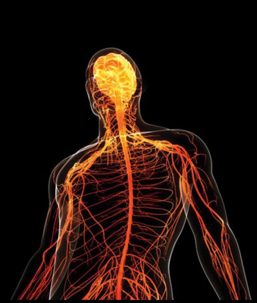 Oakstone Comprehensive Review of Neurology 2021
