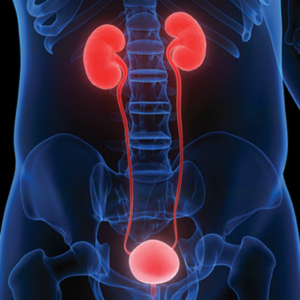 Oakstone Comprehensive Review of Urology 2021