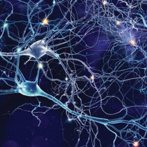 Oakstone Neurology for Non-Neurologists 2022