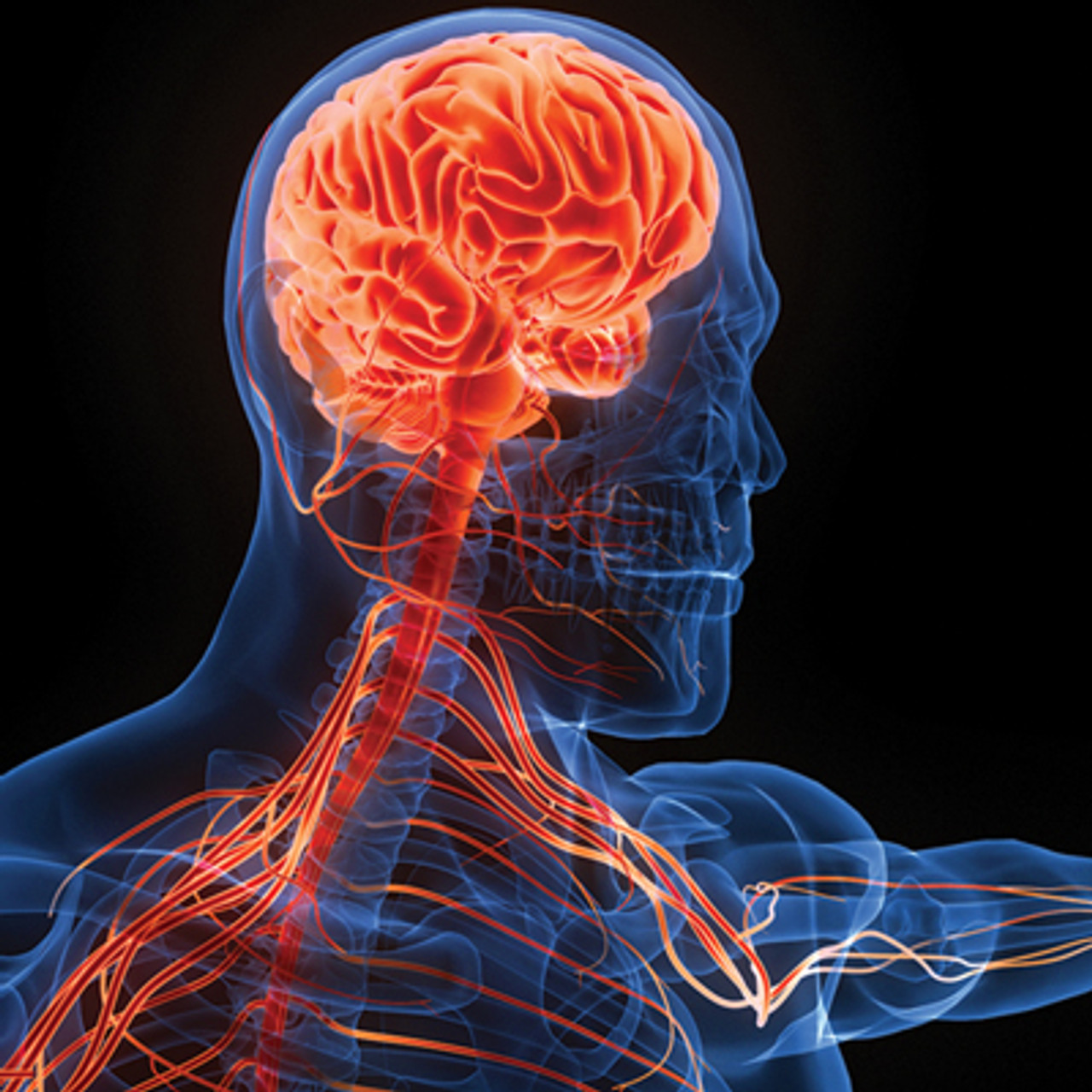 Oakstone Samuels Comprehensive Review of Neurology 2024