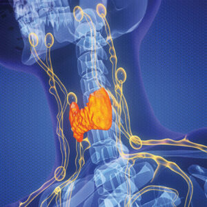 Oakstone The Brigham Board Review and Comprehensive Update Endocrinology 2025
