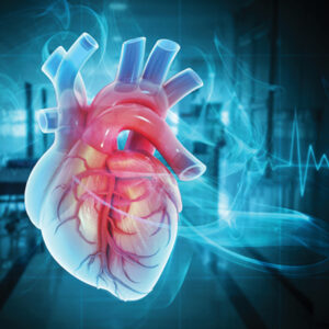 Oakstone The Brigham Board Review and Comprehensive Update in Cardiology 2025