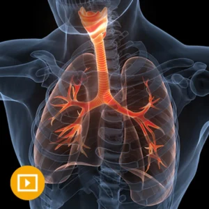 Oakstone The Brigham Board Review and Comprehensive Update in Pulmonary Medicine 2022